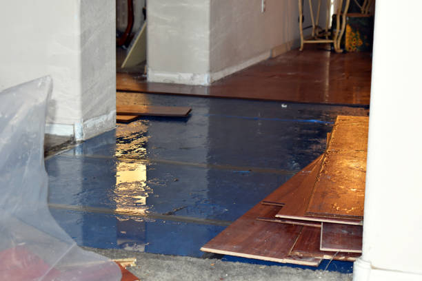 Professional Basement Flood Cleanup technician working in Jonesboro, ME